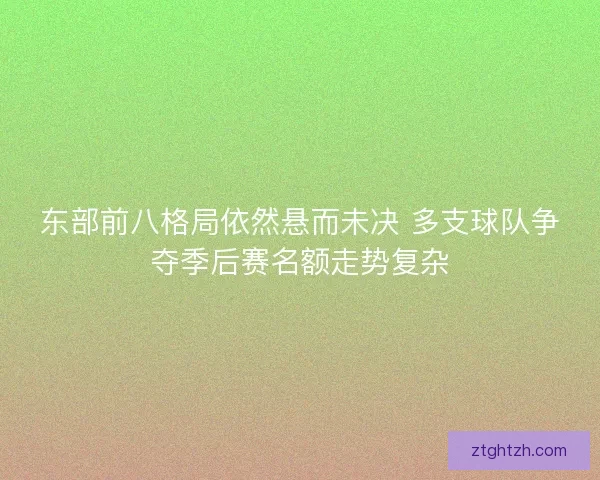 东部前八格局依然悬而未决 多支球队争夺季后赛名额走势复杂