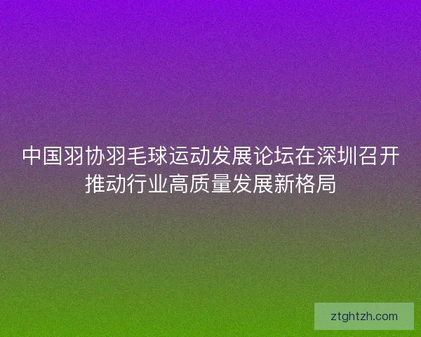 中国羽协羽毛球运动发展论坛在深圳召开推动行业高质量发展新格局